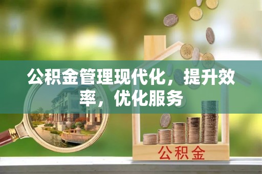 镇赉公积金管理现代化，提升效率，优化服务