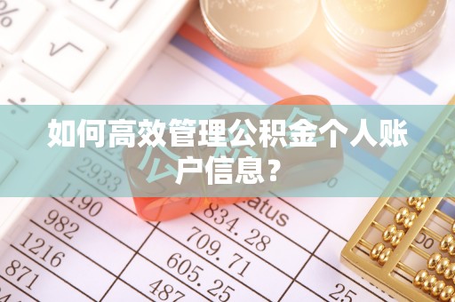 镇赉如何高效管理公积金个人账户信息？