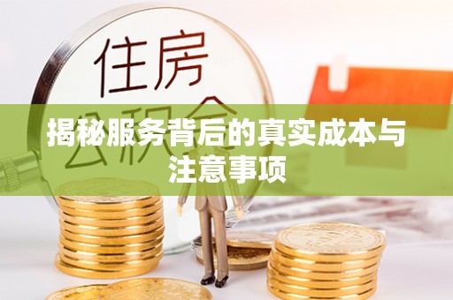 镇赉揭秘服务背后的真实成本与注意事项