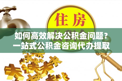 镇赉如何高效解决公积金问题？一站式公积金咨询代办提取服务全解析