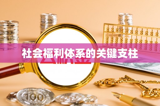 镇赉社会福利体系的关键支柱
