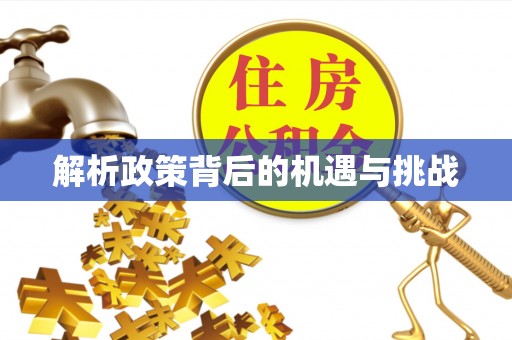 镇赉解析政策背后的机遇与挑战