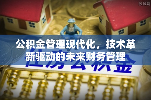 镇赉公积金管理现代化，技术革新驱动的未来财务管理