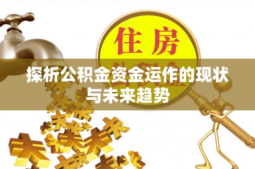 镇赉探析公积金资金运作的现状与未来趋势