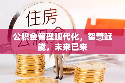 镇赉公积金管理现代化，智慧赋能，未来已来