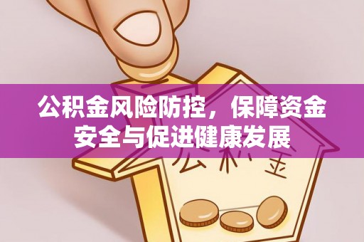 镇赉公积金风险防控，保障资金安全与促进健康发展