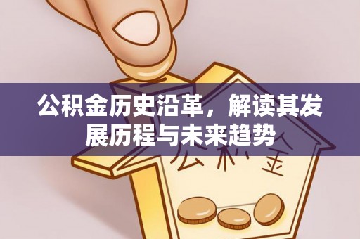 镇赉公积金历史沿革，解读其发展历程与未来趋势