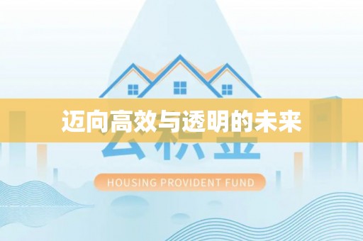 镇赉迈向高效与透明的未来