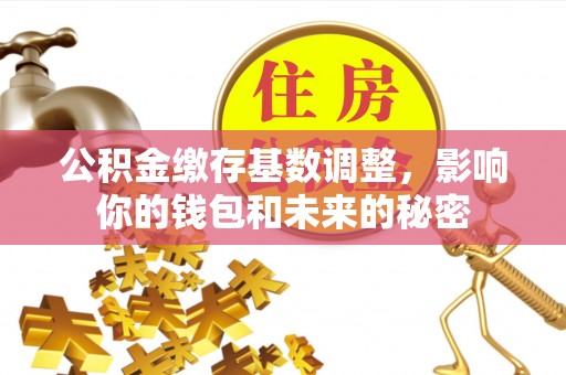 镇赉公积金缴存基数调整，影响你的钱包和未来的秘密