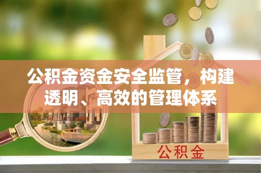 镇赉公积金资金安全监管，构建透明、高效的管理体系