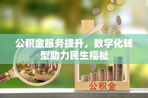 镇赉公积金服务提升，数字化转型助力民生福祉