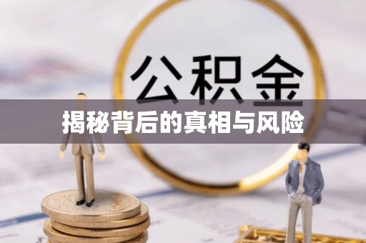 镇赉揭秘背后的真相与风险