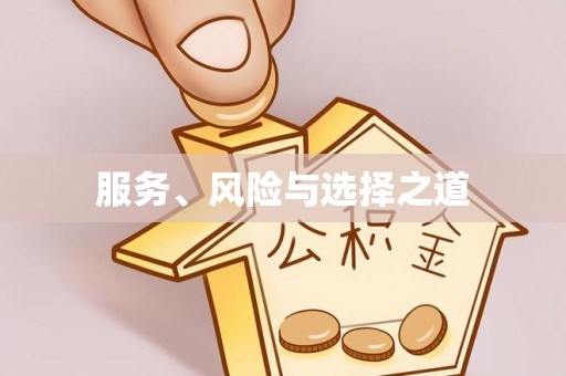 镇赉服务、风险与选择之道