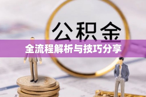 镇赉全流程解析与技巧分享