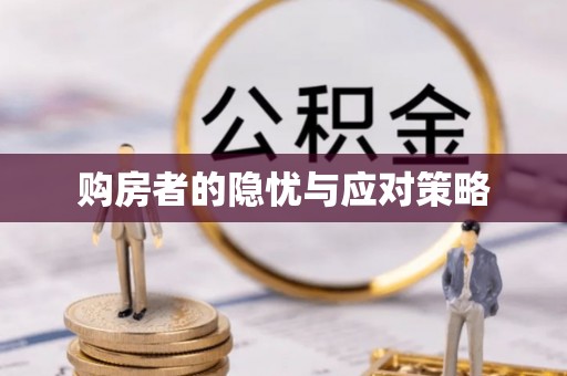 镇赉购房者的隐忧与应对策略