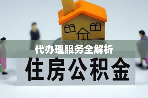 镇赉代办理服务全解析