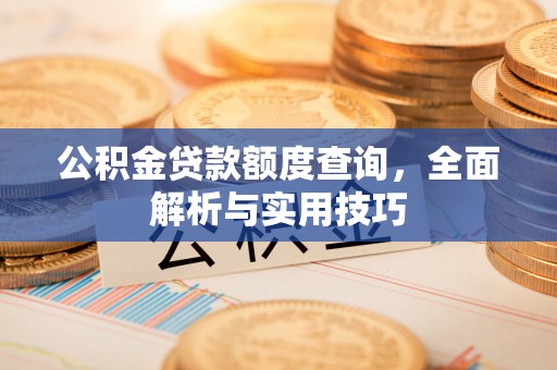 镇赉公积金贷款额度查询，全面解析与实用技巧