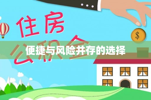 镇赉便捷与风险并存的选择